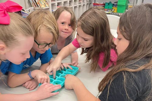 Students particpating in a a science project watching gummy bears expand in a ice box container.