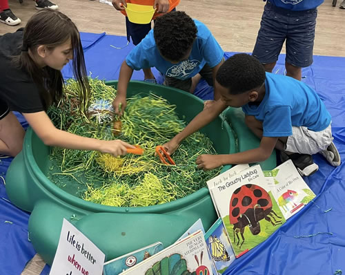 A sandbox field with paper strips hiding plastic bugs.   Students are searching through the paper strips to find and learn about their favorite bug.